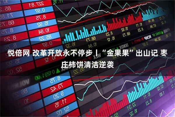 悦倍网 改革开放永不停步丨“金果果”出山记 枣庄柿饼清洁逆袭