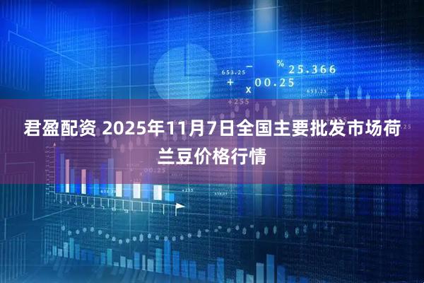君盈配资 2025年11月7日全国主要批发市场荷兰豆价格行情
